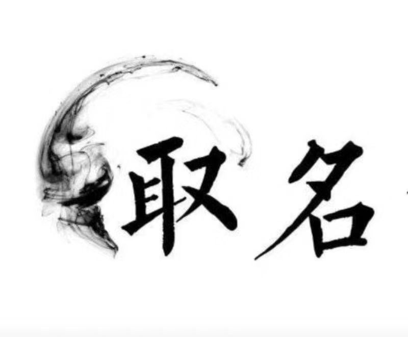  东阳宝宝取名 大师一对一人工起名